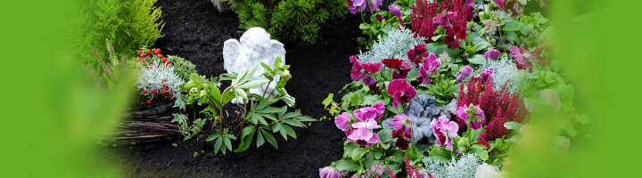 graberde kategorieeinstiegsbanner